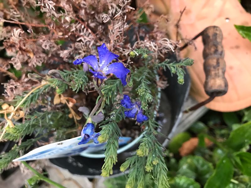 rblog-20190419193912-03.jpg
