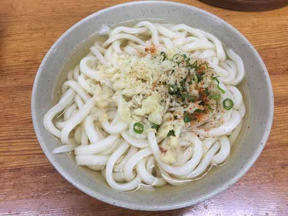 さか枝・かけうどん大