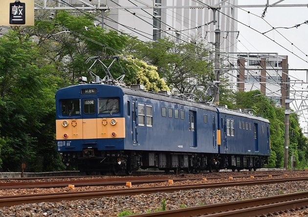 DSC_4730.JPG