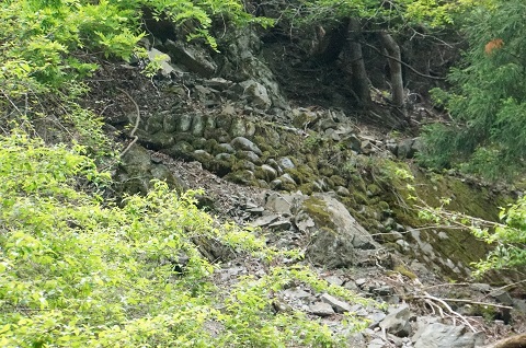 DSC07326.JPG