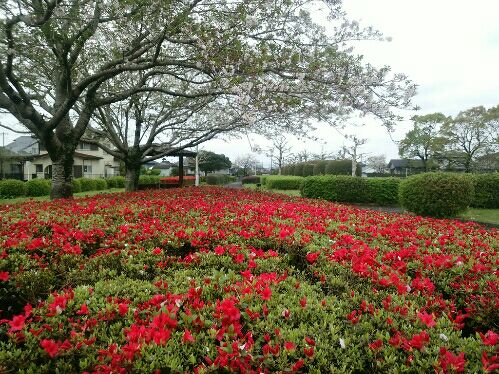 rblog-20160408231436-02.jpg