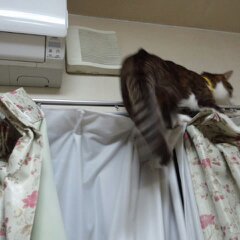 いたずら福ちゃん９