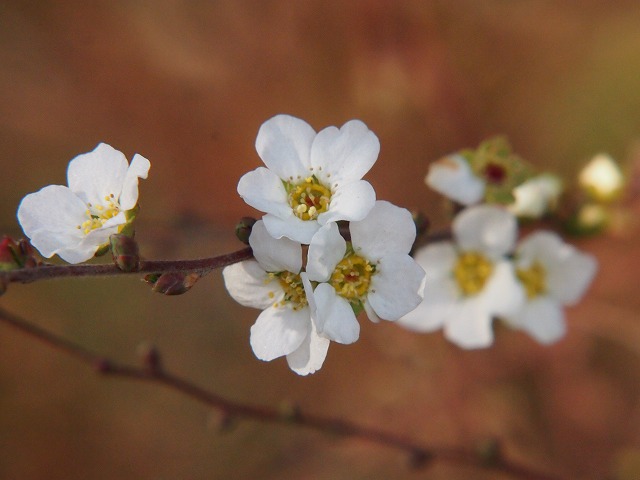 P2030105.jpg