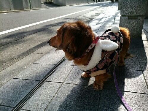 rblog-20160322082455-01.jpg