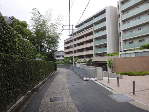 DSC09166.JPG