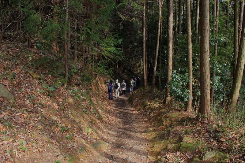 山の辺の道_5-3.jpg