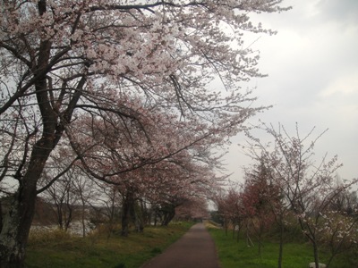 DSC02437.jpg