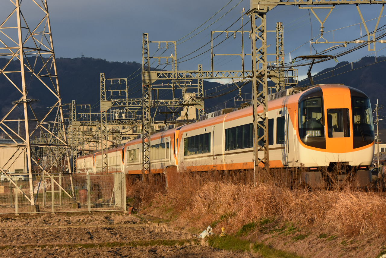 DSC_7461.JPG