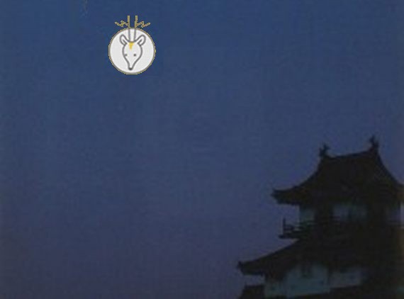 画像はイメージです