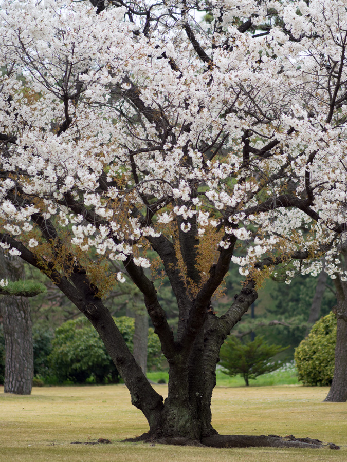 20130330065.jpg