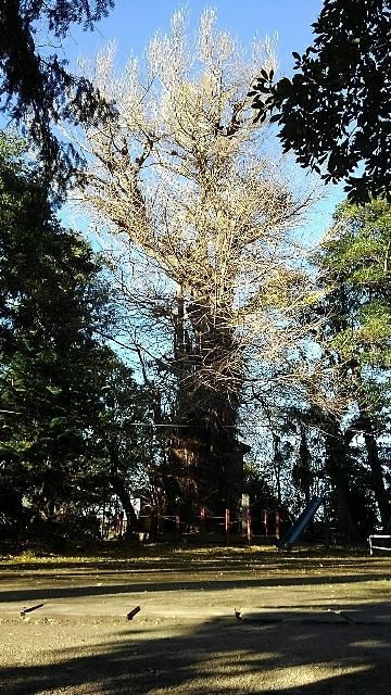 rblog-20181218182206-05.jpg