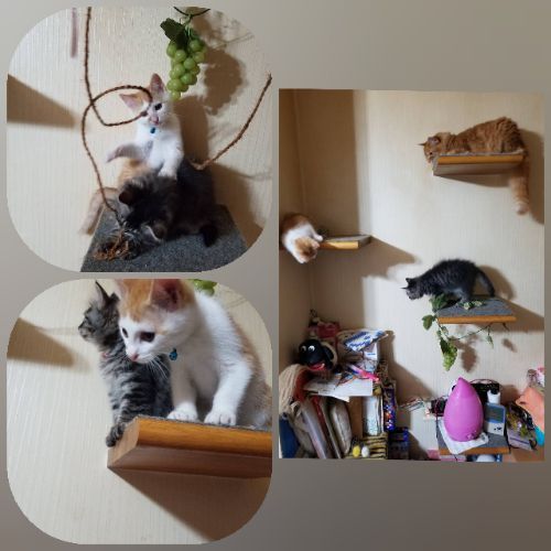 rblog-20180709155036-02.jpg