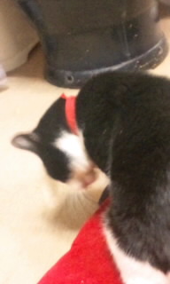 2012-12-12 19:17:17