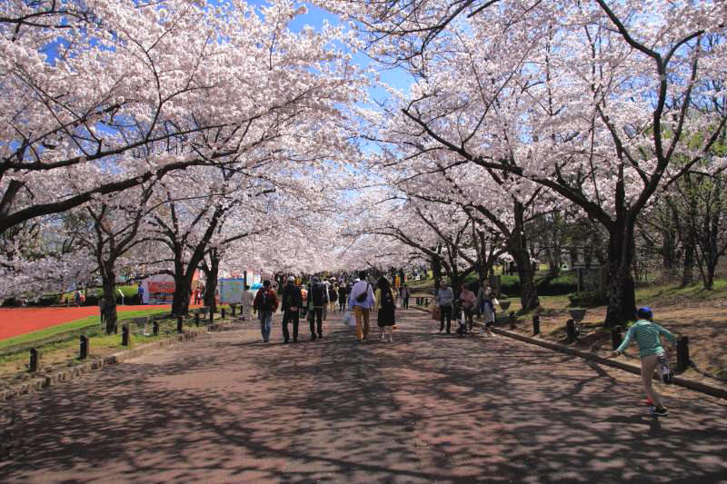 万博記念公園_004東大路・東.jpg
