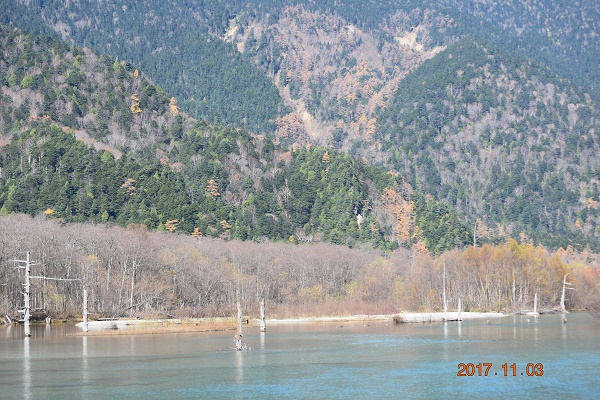 DSC_0475.jpg