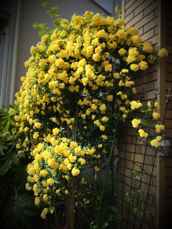 rblog-20150430203255-04.jpg