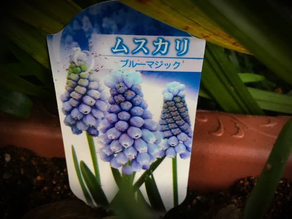 rblog-20161226172246-02.jpg
