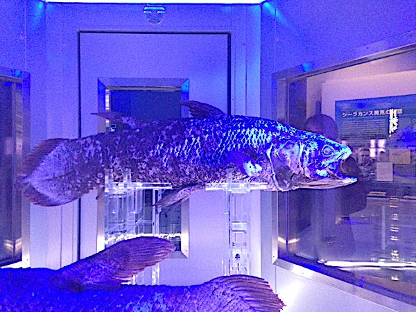 rblog-20161105012452-03.jpg