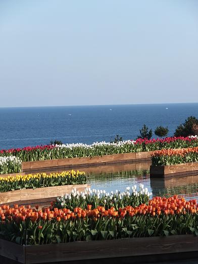 画像 005.jpg