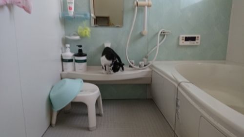 rblog-20180817130228-00.jpg