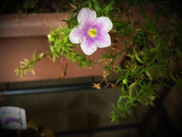 rblog-20150728202527-03.jpg