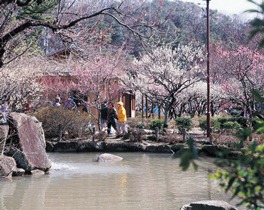 j_018_m.jpg