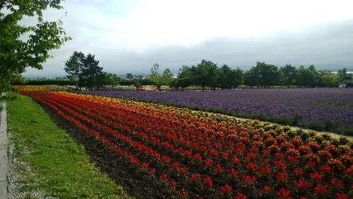 rblog-20180727072912-00.jpg