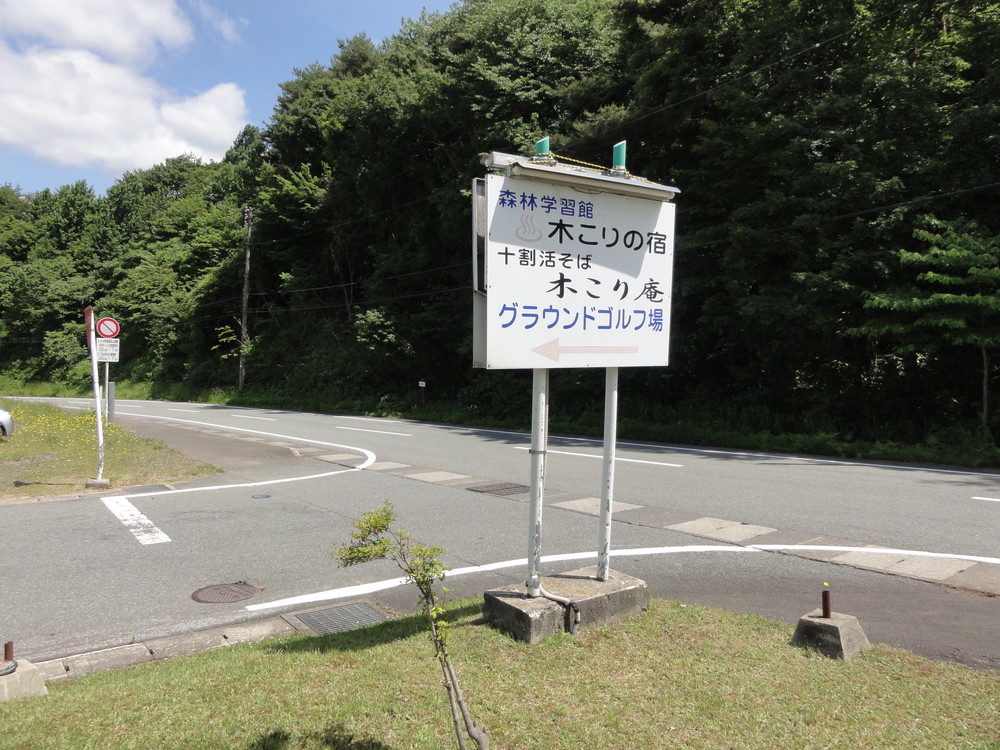 DSC08443.jpg