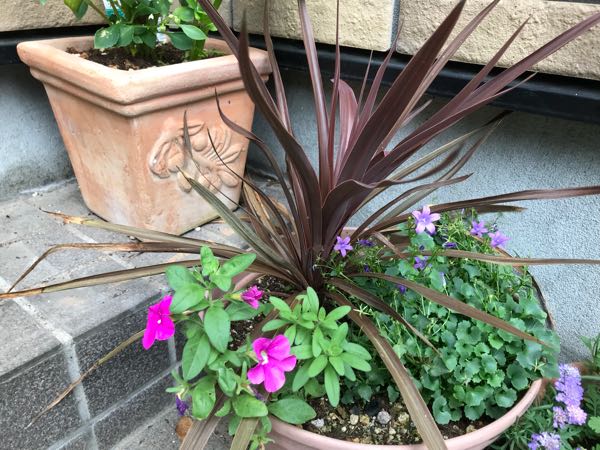 rblog-20180624175618-07.jpg