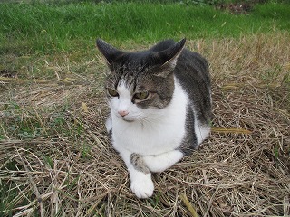 IMG_2689ss.jpg