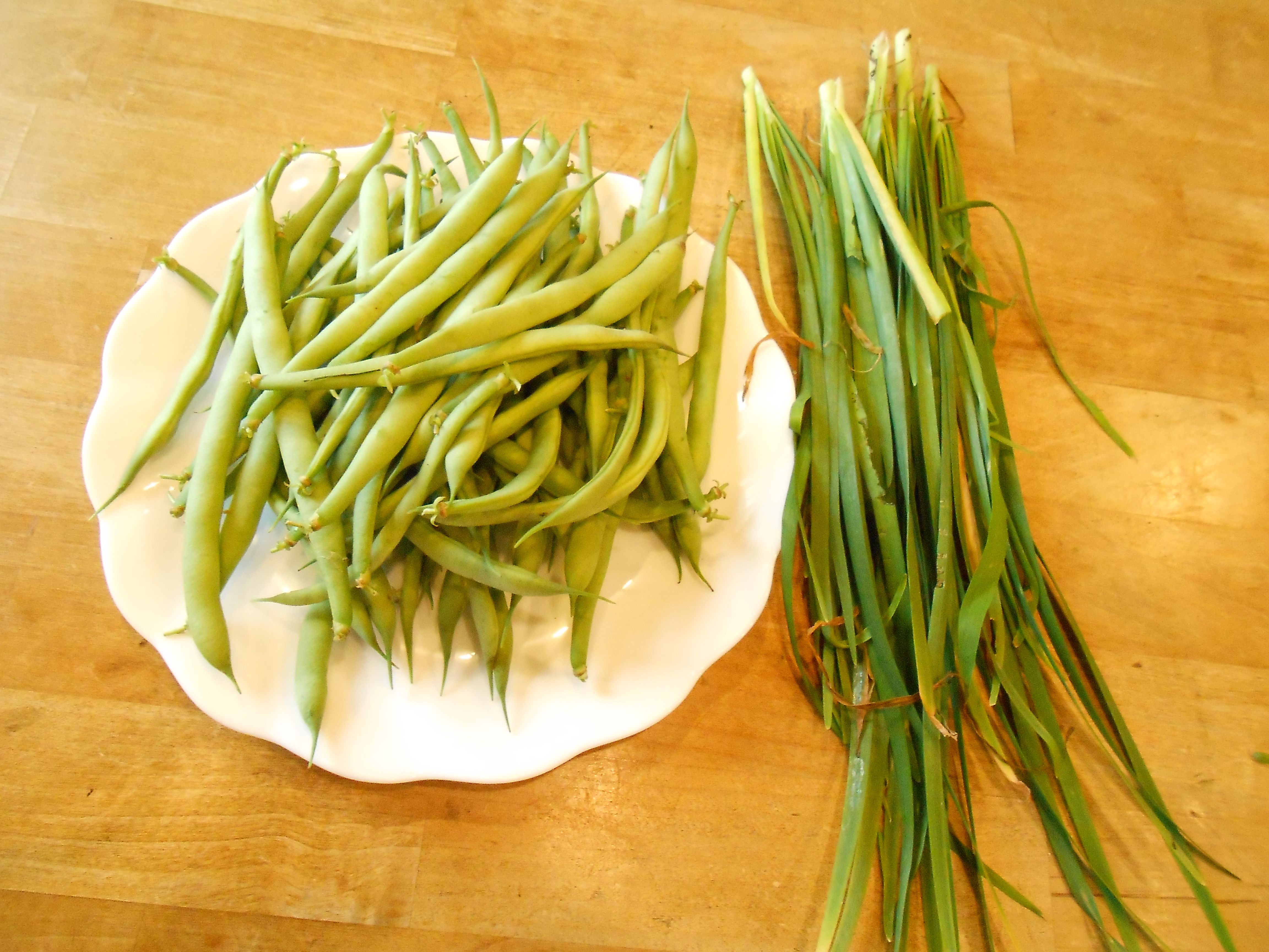 私のクラインガルテン 自然栽培野菜収穫 てしごと 庭しごと 楽天ブログ