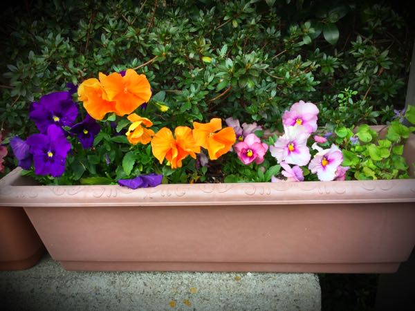 rblog-20160330184331-01.jpg