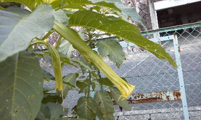 121023_1613~01.jpg