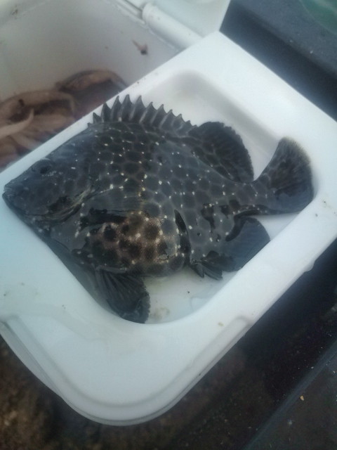 20120728133331.jpg