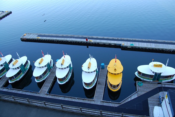DSC_1101水上タクシー.jpg