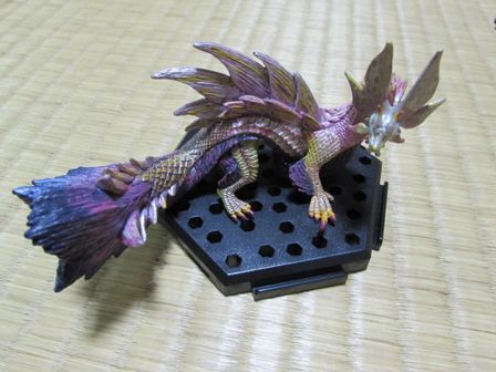 16.01.29タマミツネ.JPG