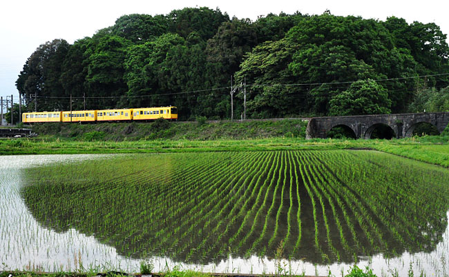 電車２
