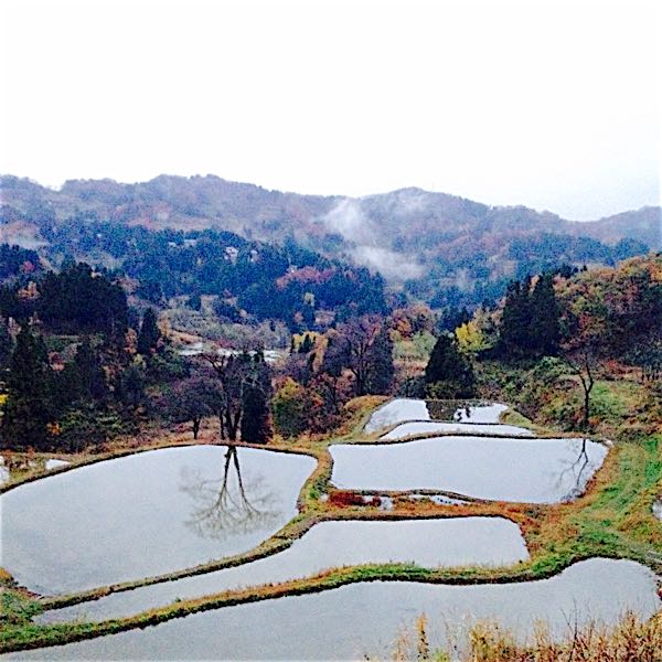 rblog-20141119192049-04.jpg