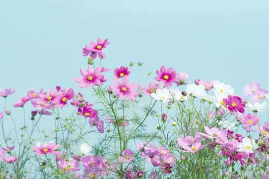 にっこり・ほっこり・ぽっこり♪