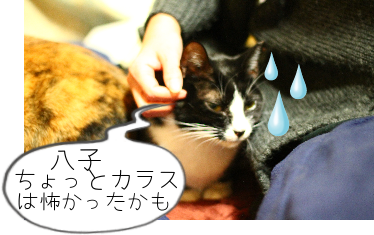 IMG_0631.png