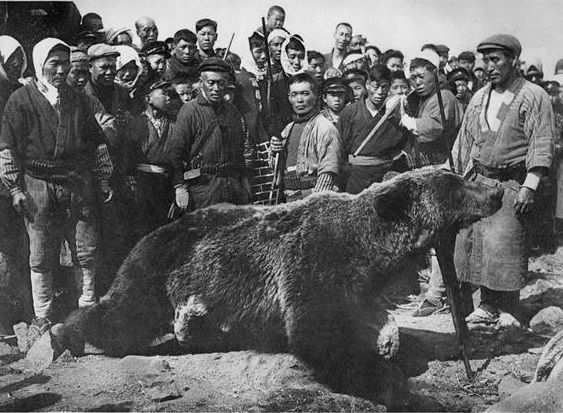 ヒグマはそんなに可愛いか クマのプーさんなどに見られるアイドル化の不可思議 下 地上最大個体は１トン超 政治 現代史 進化生物学 人類学 考古学 旅行 映画 メディアなどのブログ 楽天ブログ