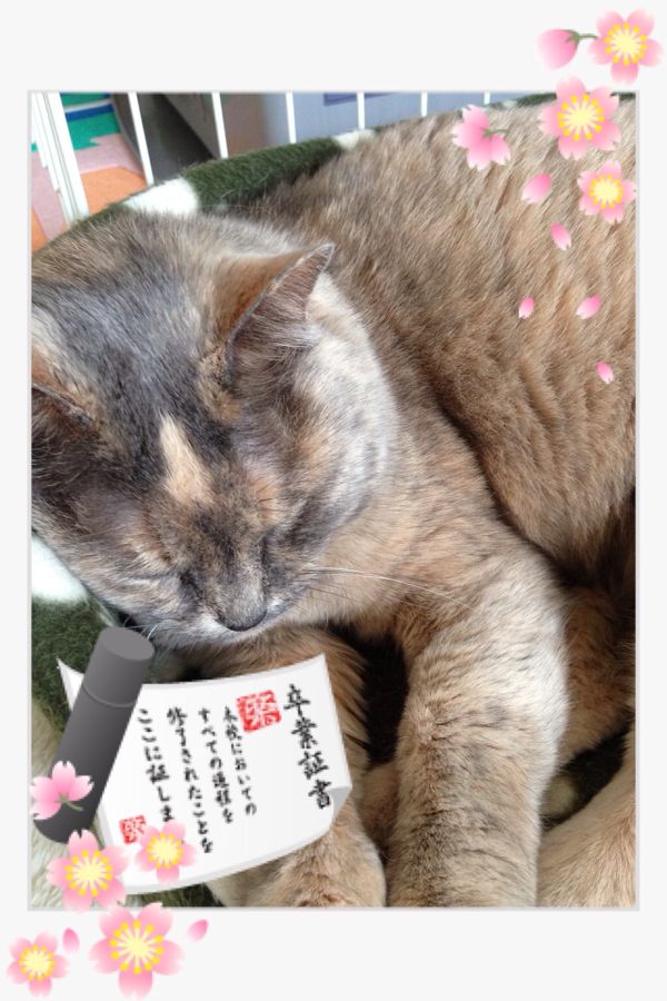 rblog-20140330223209-00.jpg