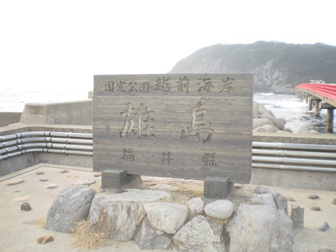 ojima2