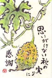 絵手紙：黄色くなったゴーヤ
