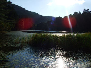 06