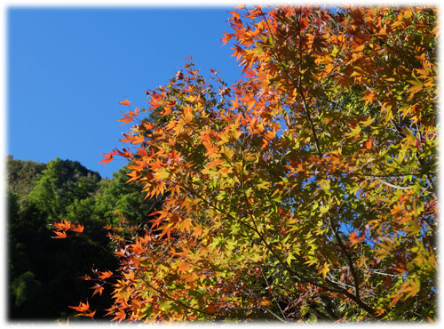okunoyu20151026-3.jpg