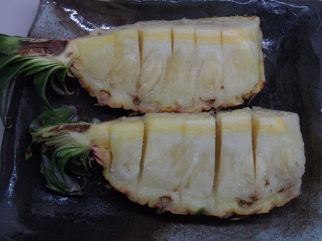 P5041517.jpg