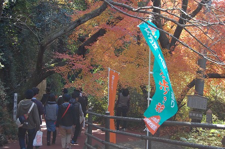 s-DSC_0937.jpg