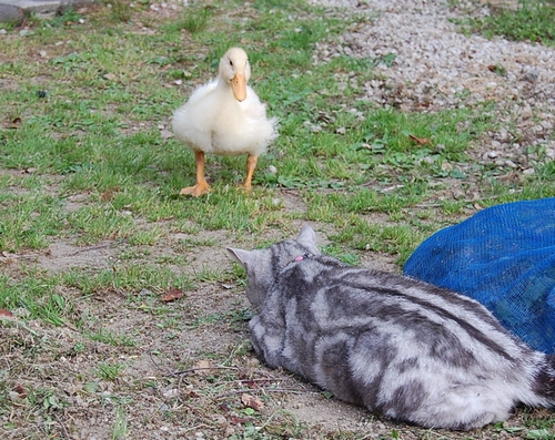 DSC_0030.JPG