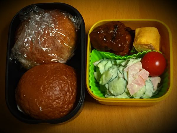 rblog-20170125052850-03.jpg